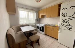 Garsoniera in bloc mixt, 28,5 mp utili, zona Nora-Manastur