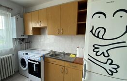 Garsoniera in bloc mixt, 28,5 mp utili, zona Nora-Manastur