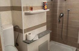 Apartament 2 camere, 40mp, zona Casa Piratilor