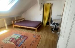 Exclusivitate! Casa cu curte comuna, 3 camere, 90 m2 , zona strazii Paris!