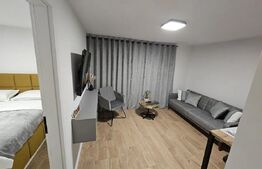Apartament 2 camere, lux, cheltuieli incluse, zona Fagului