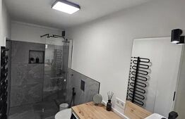 Apartament 2 camere, lux, cheltuieli incluse, zona Fagului