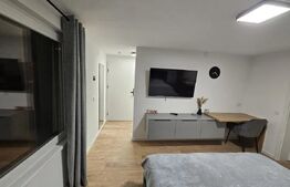 Apartament cu o cameră superb, 30mp, zona Becas cu parcare, cheltuieli incluse