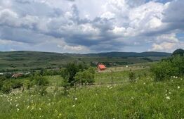 Teren construibil , priveliste deosebita, Zona Mera