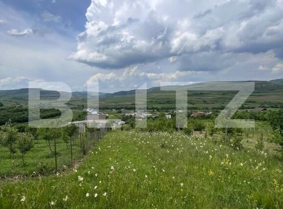 Teren de vânzare Baciu - 155375TV | BLITZ Cluj-Napoca | Poza3