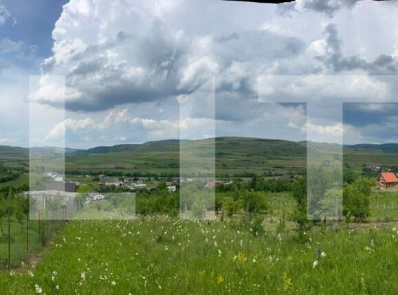 Teren de vânzare Baciu - 155375TV | BLITZ Cluj-Napoca | Poza1