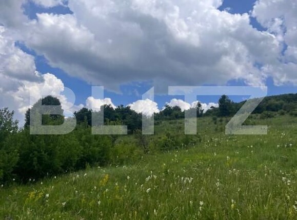 Teren de vânzare Baciu - 155375TV | BLITZ Cluj-Napoca | Poza4