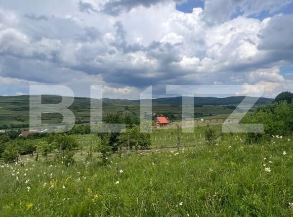Teren de vânzare Baciu - 155375TV | BLITZ Cluj-Napoca | Poza2