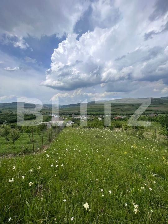 Teren de vânzare Baciu - 155375TV | BLITZ Cluj-Napoca | Poza3