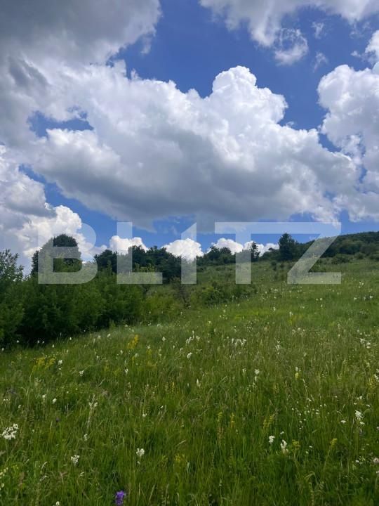 Teren de vânzare Baciu - 155375TV | BLITZ Cluj-Napoca | Poza4