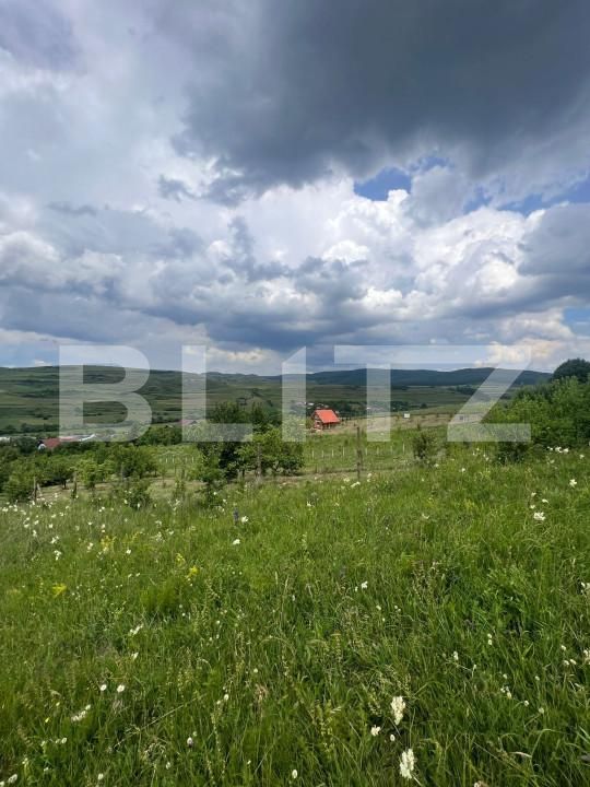 Teren de vânzare Baciu - 155375TV | BLITZ Cluj-Napoca | Poza2