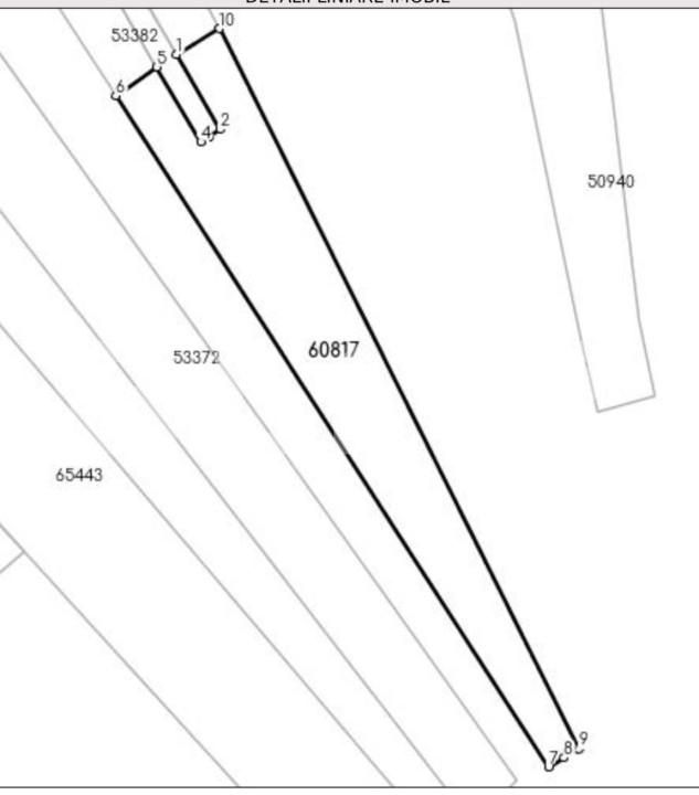 Teren de vânzare Baciu - 155375TV | BLITZ Cluj-Napoca | Poza5