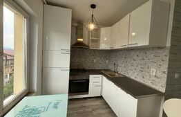Apartament 2 camere, 42 mp, etaj intermediar, zona Stejarului