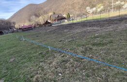 Teren intravilan 1037 mp, Frasinet, Baisoara, pentru casa de vacanta!