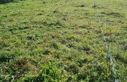 Teren intravilan 1037 mp, Frasinet, Baisoara, pentru casa de vacanta!