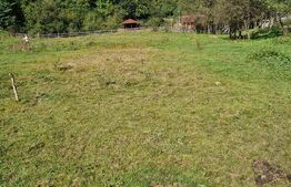 Teren intravilan 1037 mp, Frasinet, Baisoara, pentru casa de vacanta!