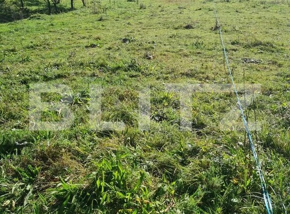 Teren de vânzare Exterior Vest - 155444TV | BLITZ Cluj-Napoca | Poza2