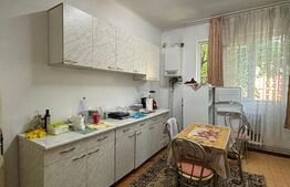 Casa individuala, 561 mp teren, Dambu Rotund