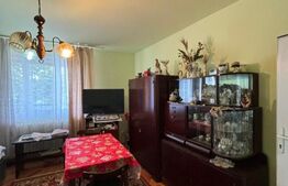 Casa individuala, 561 mp teren, Dambu Rotund