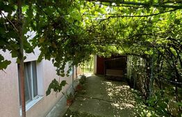 Casa individuala, 561 mp teren, Dambu Rotund