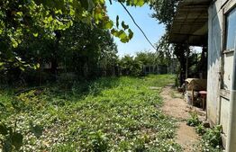 Casa individuala, 561 mp teren, Dambu Rotund