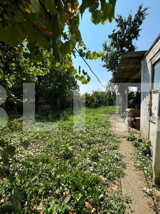 Casa de vânzare 4 camere Dambul Rotund - 155473CV | BLITZ Cluj-Napoca | Poza11