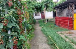 Casă renovabilă cu 4 camere și teren de 439 mp in Iris, investiție