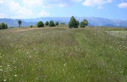 Teren 3700 mp la Moeciu