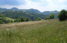 Teren 3700 mp la Moeciu