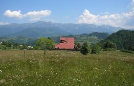 Teren 3700 mp la Moeciu