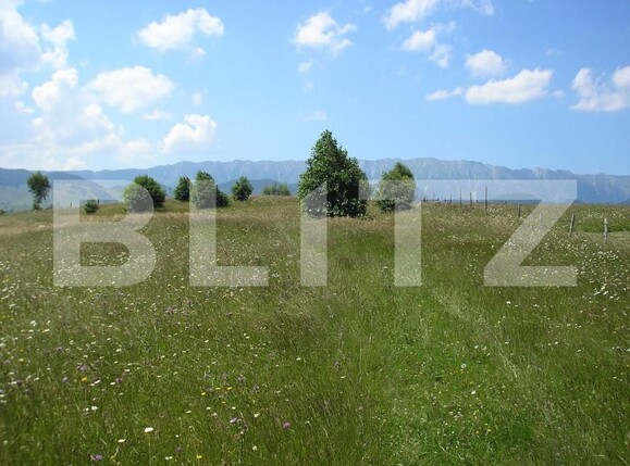 Teren de vânzare Exterior Vest - 155537TV | BLITZ Brașov | Poza3