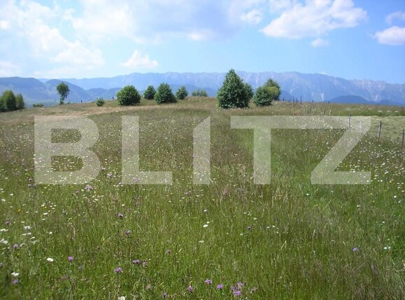 Teren de vânzare Exterior Vest - 155537TV | BLITZ Brașov | Poza7