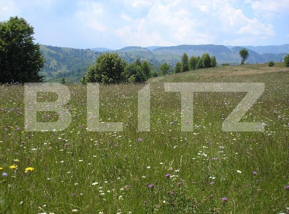 Teren de vânzare Exterior Vest - 155537TV | BLITZ Brașov | Poza4