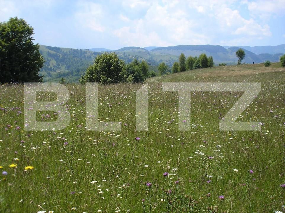 Teren de vânzare Exterior Vest - 155537TV | BLITZ Brașov | Poza4