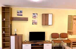 Apartament cu 1 camera, 40mp, parcare, zona Iulius Mall