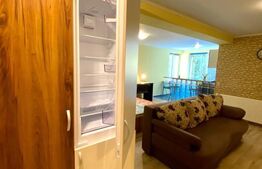 Apartament cu 1 camera, 40mp, parcare, zona Iulius Mall