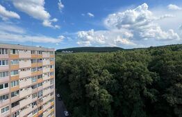 Oportunitate! Garsonieră confort 1, orientare sud-vest, renovabila, zona Parang