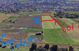 Teren  cu priveliste spre tot Clujul la cel mai bun pret