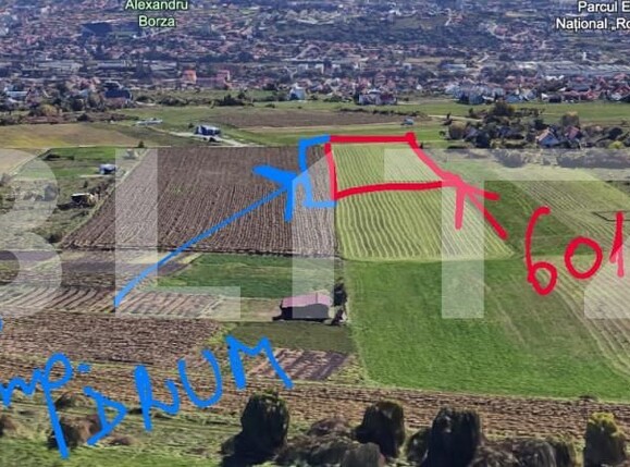 Teren de vânzare Dambul Rotund - 155578TV | BLITZ Cluj-Napoca | Poza1