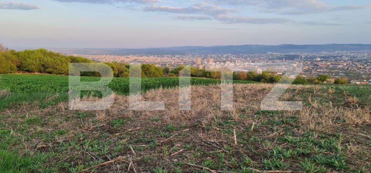 Teren de vânzare Dambul Rotund - 155578TV | BLITZ Cluj-Napoca | Poza3