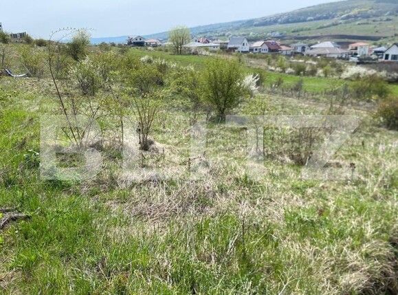 Teren de vânzare Chinteni - 155583TV | BLITZ Cluj-Napoca | Poza2