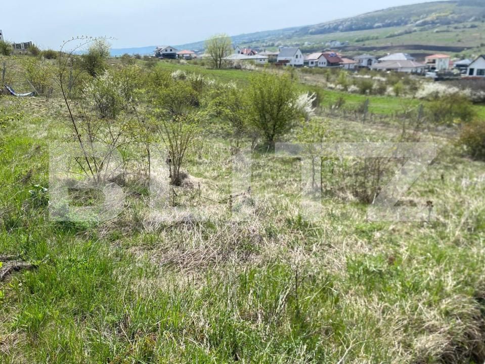 Teren de vânzare Chinteni - 155583TV | BLITZ Cluj-Napoca | Poza2