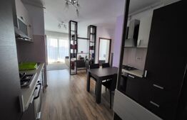 Apartament 2 camere de inchiriat, open-space, zona Racadau