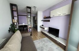 Apartament 2 camere de inchiriat, open-space, zona Racadau