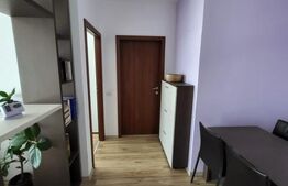Apartament 2 camere de inchiriat, open-space, zona Racadau