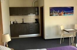 Inchiriez garsoniera in vila, Tractorul