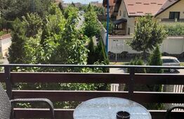 Inchiriez garsoniera in vila, Tractorul