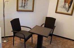 Inchiriez garsoniera in vila, Tractorul