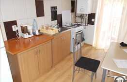 Vanzare apartament 2 camere, 44 mp, garaj, zona strazii Campului
