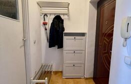 Apartament cu o camera, 40 mp, balcon, zona Calea Turzii